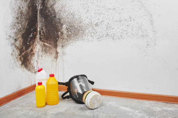 Best Mold Remediation for Healthcare Facilities  in Gunter, TX