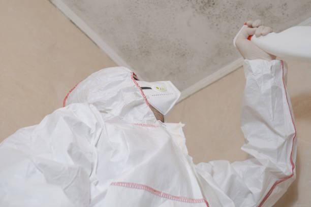 Best Water Damage & Mold Remediation  in Gunter, TX